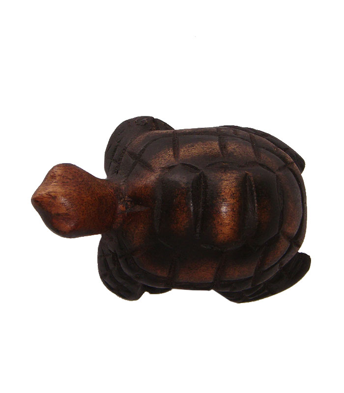 _0002_Wooden Turtles Raw (4)
