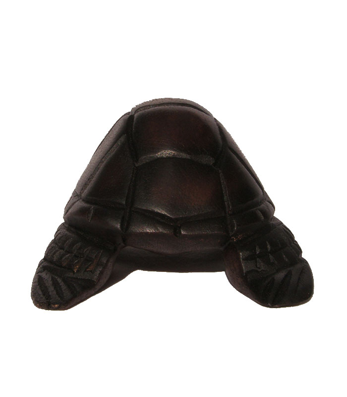 _0003_Wooden Turtles Raw (3)