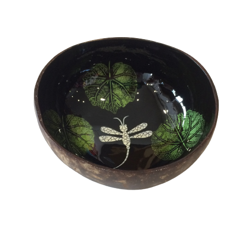 Dragonfly Coconut Bowl Green 2