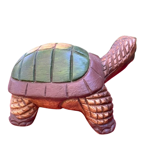 Wooden Turtle Turning Head 5