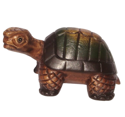 Wooden Turtle Turning Head 9