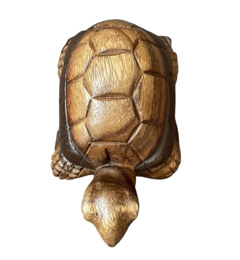 Sea Turtle 17cm Brown 3